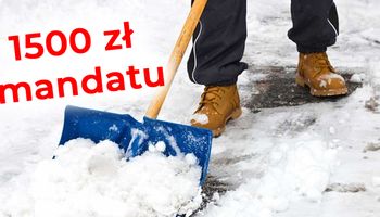 Za nieodśnieżanie chodnika grozi wysoka kara! Sprawdź kiedy musisz zająć się tym obowiązkiem