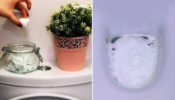 Ekologiczne kapsułki do sprzątania toalety, które wykonasz w domu