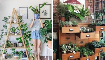 14 uroczych pomysłów na stojaki dla roślin DIY!