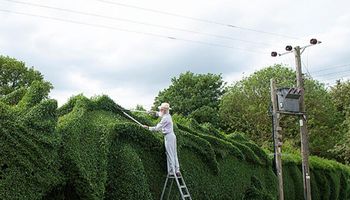 Mężczyzna przez 10 lat tworzył ogromnego smoka w ogrodzie
