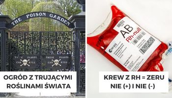10 niesamowitych faktów, które sprawią, że zupełnie inaczej będziesz patrzeć na świat