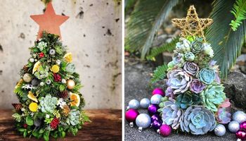 15 uroczych sukulentowych choinek, które z powodzeniem zastąpią tradycyjne świąteczne drzewko