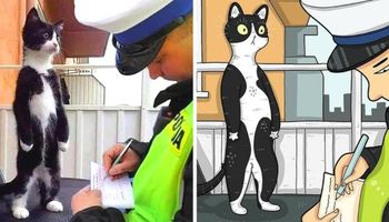 24 najzabawniejsze zdjęcia kotów przerobione na kreskówkowy obraz. Intrygujące prace rysownika!
