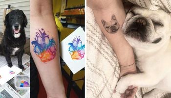 32 tatuaże, które zdradzają, kto jest największym psiarzem. Powstały z miłości do czworonogów