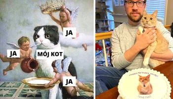 23 wyjątkowo rozpieszczone koty, które panują nad swoimi właścicielami i żyją po królewsku