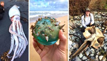 21 ciekawych rzeczy, jakie ludzie znajdywali na plażach całego świata. To prawdziwe skarby leżące na piasku