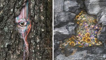 Ukraińska artystka leczy drzewa. Wypełnia ich blizny barwnymi, haftowanymi opatrunkami