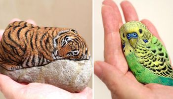 19 rzecznych kamieni, które zostały przemienione w zwierzęta. Ich oczy wyglądają jak żywe