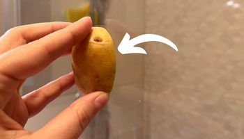 ręka pocierająca ziemniakiem szybę pod prysznicem