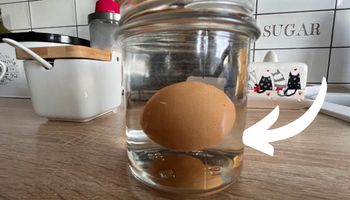 po czym poznać zepsute jajko - jajko zanurzone w słoiku z wodą