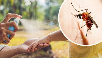 dorosły spryskuje sprejem rękę dziecka na zewnątrz i zbliżenie komara