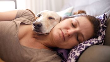Pies śpi z tobą w łóżku? Lepiej przestań mu na to pozwalać