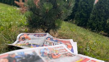 gazety ułożone w ogrodzie