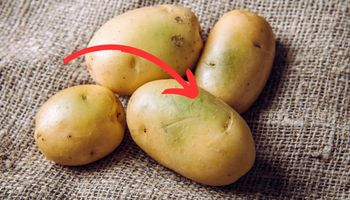 zielone ziemniaki