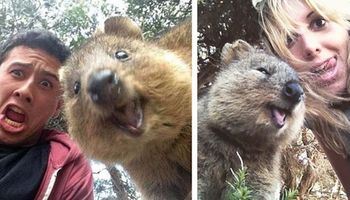 To najlepsze selfie, jakie kiedykolwiek widziałam. Mała kuoka nadaje im niesamowity klimat.