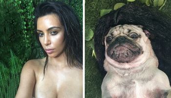 Ten słodki mops odtwarza seksowne selfie Kim Kardashian. Internauci nie mogą odgadnąć kto jest kim!