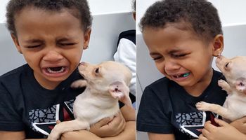 Mały chłopiec wziął na ręce psa i wybuchnął płaczem. Nie mógł powstrzymać wzruszenia