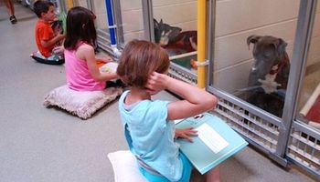 Dziewczynka usiadła na ziemi przed zamkniętym pitbullem. Nie uwierzysz, co zaczęła mu czytać…
