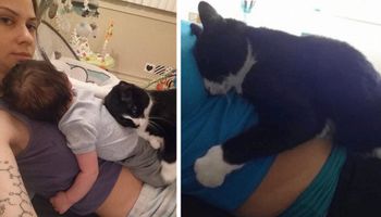 Przez 9 miesięcy kotka nie opuszczała jej na krok. Miała w tym swój powód
