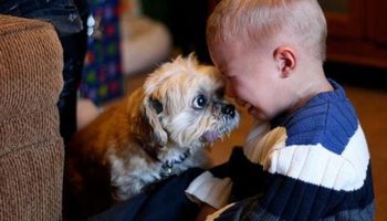 25 zdjęć, na widok których zrozumiesz, dlaczego każde dziecko powinno mieć u swego boku zwierzaka