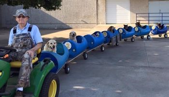 80-latek zbudował specjalny pociąg, którym zabiera dziewiątkę swoich adoptowanych psów na wycieczki.
