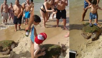 Wyciągnęli żółwia z wody na piasek. Dzieci po nim deptały, a rodzice robili im zdjęcia