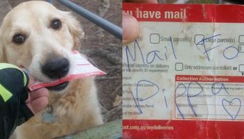 Listonosz pisze specjalne małe liściki dla psa, który uwielbia odbierać pocztę.