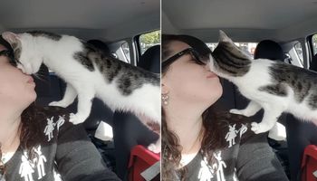 Kobieta uratowała kota przed śmiercią. To w jaki sposób jej dziękuje, jest nie do opisania!
