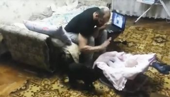 Mężczyzna uderza w fotelik małego dziecka, to jak reaguje kot jest niesamowite!