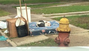 Rodzina musiała się przeprowadzić. Wraz ze śmieciami, zostawiła przed domem swojego psa…