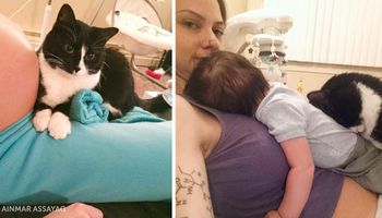 Ten kot pokochał dziecko swojej właścicielki jeszcze przed urodzeniem. Łącząca ich więź jest niesamowita!