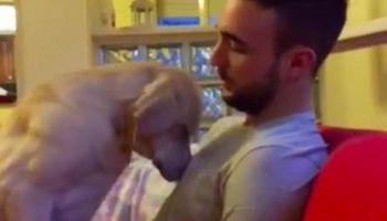 Pies w najsłodszy z możliwych sposobów przeprasza swojego tatę