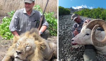 Weterynarz zabił lwa i pozował do zdjęcia z jego zwłokami. Po wszystkim spotkało go coś równie okrutnego