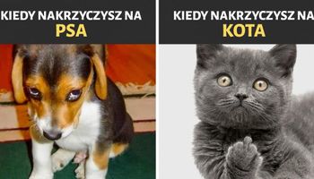 12 śmiesznych zdjęć, które udowadniają, że psy i koty pochodzą z zupełnie różnych światów
