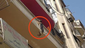 Pies przez 5 godzin zwisał z balkonu. Jego widok przyprawia o dreszcze