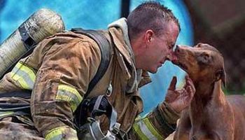 Zdjęcia strażaków i uratowanych zwierząt, które poruszą serce największego twardziela
