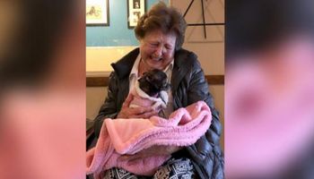 Wnuczka uchwyciła na zdjęciu niesamowitą więź między babcią a przygarniętym, 10-letnim psem