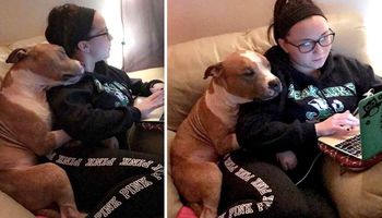 Adoptowała pobitego i skrzywdzonego pitbulla. Pies odwdzięczył się jej ogromną miłością