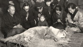 Ten pies zmarł prawie 100 lat temu, a do dziś opłakuje go tysiące ludzi