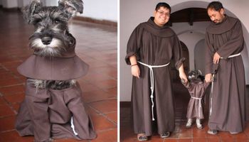 Bezpański pies dołączył do klasztoru jako kolejny zakonnik. Szybko zmienił oblicze tego miejsca