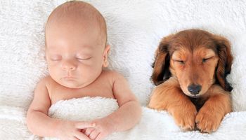 20 słodkich zdjęć będących dowodem na to, że psy i dzieciaki to najlepsi przyjaciele do spania