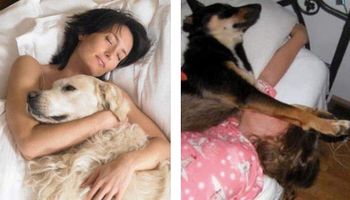 Nie powinieneś spać ze swoim psem szczególnie w okresie letnim! To może Ci zaszkodzić!