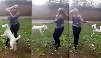 14-latka podniosła psa za smycz i zaczęła się z nim kręcić. Czworonóg był bezsilny…