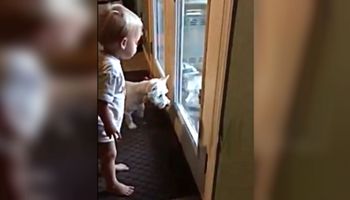 Chłopiec i pies wyglądają przez okno. Maluch stwierdza, że to, co widzi przez szybę to smok!