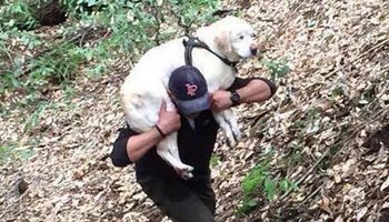 Mężczyzna o wielkim sercu ratuje niewidomego psa, na którego czekała stęskniona rodzina