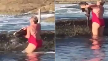 Ludzie oszaleli na punkcie kobiety, która uratowała zabłąkanego w jej basenie rekina