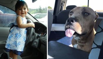 Pies odpycha dziewczynkę od auta. Widział niebezpieczeństwo, którego nie dostrzegła mama