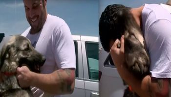 Po miesiącu rozłąki, żołnierz spotyka psa, z którym zaprzyjaźnił się podczas misji w Iraku