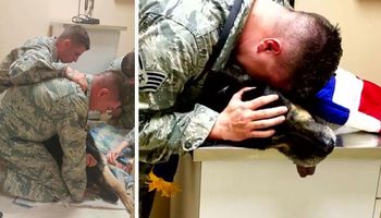 Żołnierz przykrywa ciało swojego psa flagą. Powód wzrusza do granic możliwości
