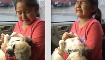 Nie mogła przestać płakać po tym, jak odebrała swojego psa od fryzjera